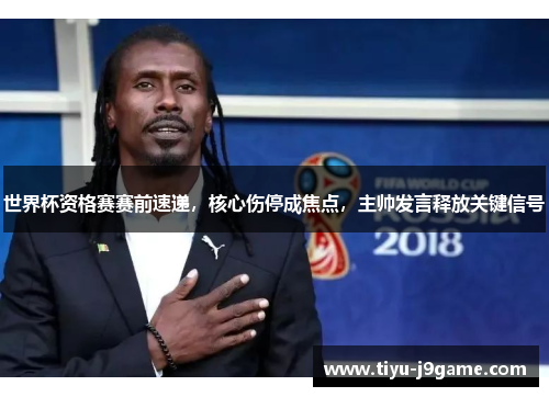 世界杯资格赛赛前速递，核心伤停成焦点，主帅发言释放关键信号